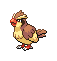beedrill viglaj-bildoj-gif